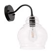 Pemberly Row 1-Light Metal and Glass Wall Sconce in Black and Clear