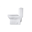 Pemberly Row 15 in Ceramic Elongated One-Piece Toilet White