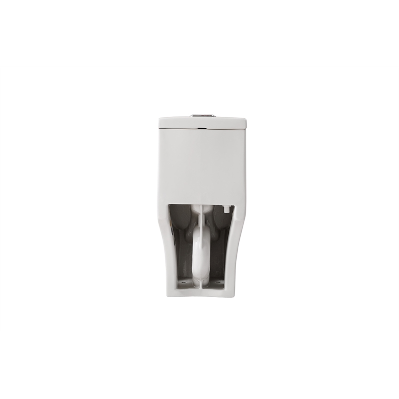 Pemberly Row 15 in Ceramic Elongated One-Piece Toilet White