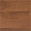 Pemberly Row Mango Wood Console Table with Adjustable Foot Pads in Walnut