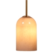 Pemberly Row Holt 1-Light Pendant with Taupe Glass Shade and Brass