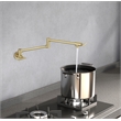 Pemberly Row Brass Wall Mounted Pot Filler Faucet in Brushed Gold