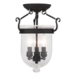 Beaumont Lane 3 Light Ceiling Mount in Black