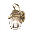 Beaumont Lane Outdoor Wall Lantern in Antique Brass