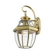 Beaumont Lane Outdoor Wall Lantern in Antique Brass