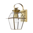 Beaumont Lane Outdoor Wall Lantern in Antique Brass