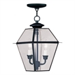 Beaumont Lane 2 Light Outdoor Chain Hang in Black