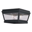Beaumont Lane 2 Light Outdoor Ceiling Mount in Charcoal