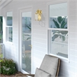 Beaumont Lane Outdoor Wall Lantern in Polished Brass