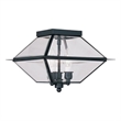 Beaumont Lane 3 Light Outdoor Indoor Ceiling Mount in Black