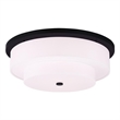 Beaumont Lane 5 Light Ceiling Mount in Bronze