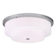 Beaumont Lane 5 Light Ceiling Mount in Brushed Nickel