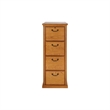 Beaumont Lane 4 Drawer Vertical File Cabinet in Distressed Wheat