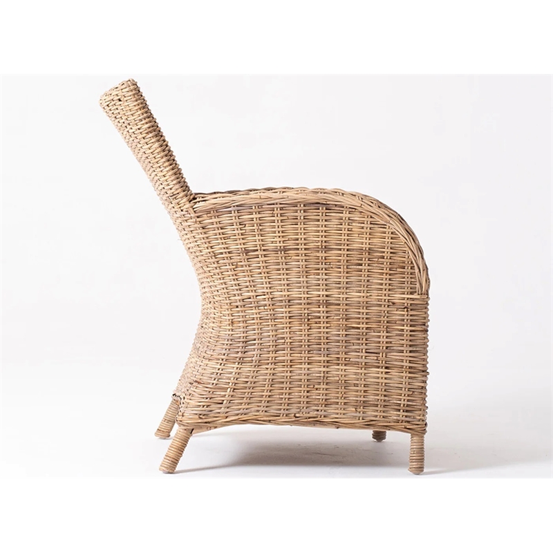 Beaumont Lane Dining Chair with Cushion in Natural (Set of 2)