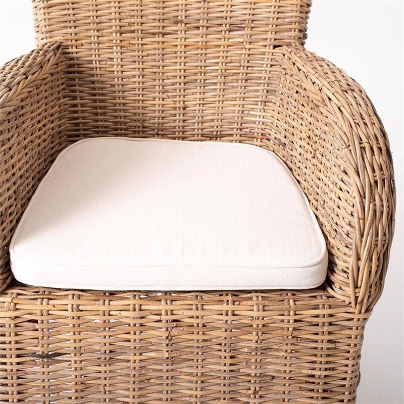 Beaumont Lane Dining Chair with Cushion in Natural (Set of 2)