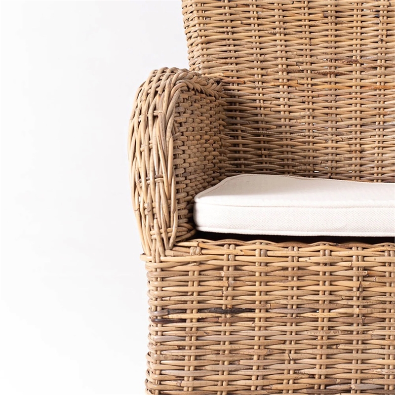 Beaumont Lane Dining Chair with Cushion in Natural (Set of 2)