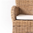 Beaumont Lane Dining Chair with Cushion in Natural (Set of 2)