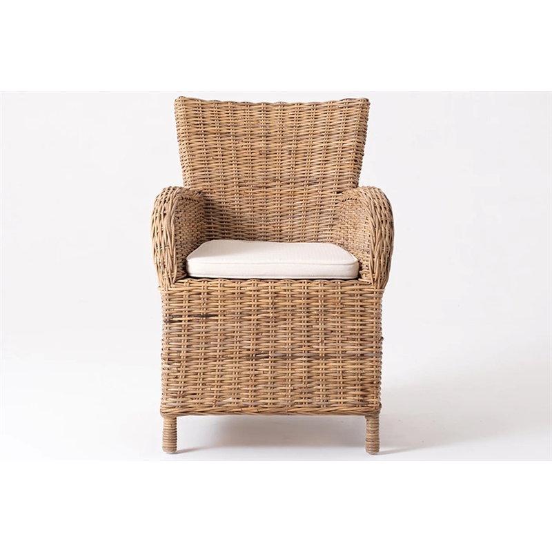 Beaumont Lane Dining Chair with Cushion in Natural (Set of 2)