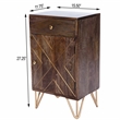 Beaumont Lane Island Living Wood and Metal Chairside Chest in Brown
