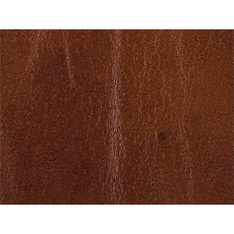 Beaumont Lane Upholstered Traditional Leather Sofa with Nailhead Trim in Brown