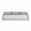 Beaumont Lane Contemporary Stainless Steel And Mirrored Serving Tray in Silver