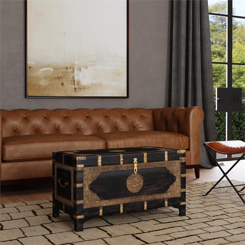 Beaumont Lane Transitional Brass Inlay Trunk Coffee Table - Antique Coffee