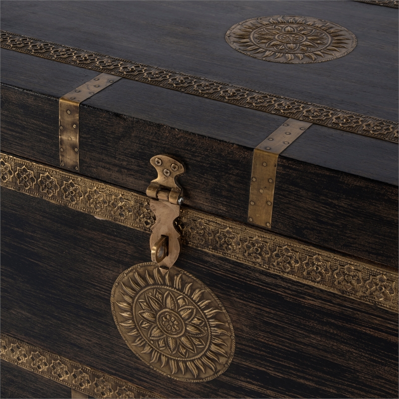 Beaumont Lane Transitional Brass Inlay Trunk Coffee Table - Antique Coffee