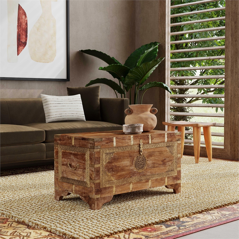 Beaumont Lane Transitional Wood Storage Trunk Coffee Table In Brown