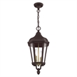 Beaumont Lane Contemporary 2 Light Outdoor Hanging Lantern in Bronze
