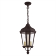 Beaumont Lane Contemporary 2 Light Outdoor Hanging Lantern in Bronze