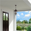 Beaumont Lane Contemporary 2 Light Outdoor Hanging Lantern in Bronze