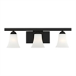 Beaumont Lane Contemporary Steel 3 Light Bath Vanity in Black