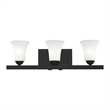 Beaumont Lane Contemporary Steel 3 Light Bath Vanity in Black