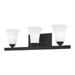Beaumont Lane Contemporary Steel 3 Light Bath Vanity in Black