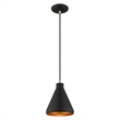 Beaumont Lane Contemporary 1-Light Metal Single Pendant in Black