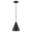 Beaumont Lane Contemporary 1-Light Metal Single Pendant in Black