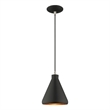 Beaumont Lane Contemporary 1-Light Metal Single Pendant in Black