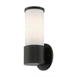 Beaumont Lane Contemporary 1-Light Metal Outdoor Wall Lantern in Textured Black
