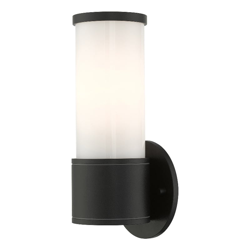Beaumont Lane Contemporary 1-Light Metal Outdoor Wall Lantern in Textured Black