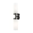 Beaumont Lane Contemporary 2-Light Glass/Metal ADA Vanity Sconce in Black Chrome