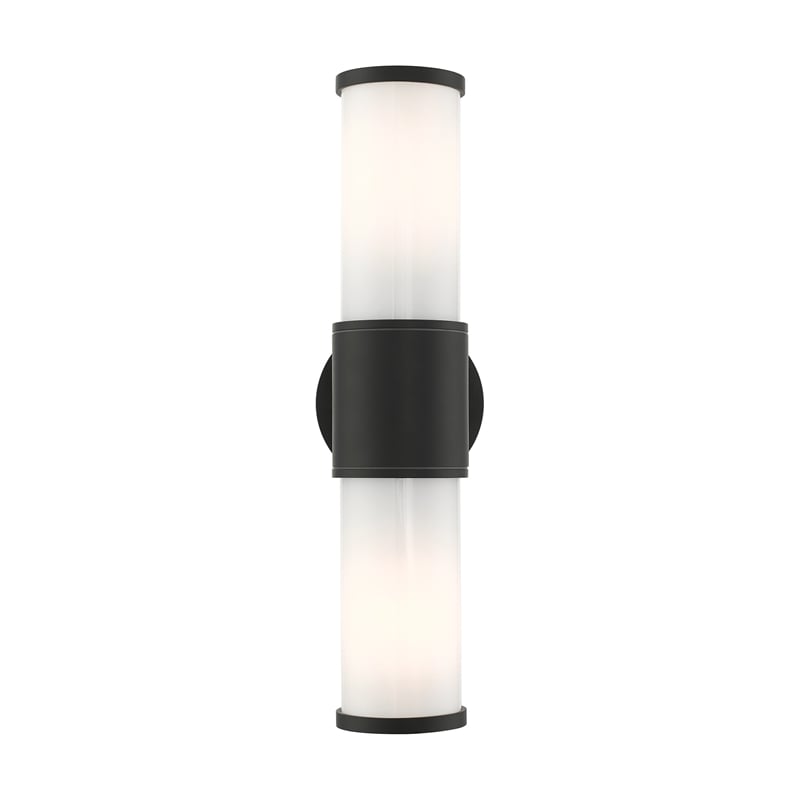 Beaumont Lane Contemporary 2-Light Metal Outdoor Wall Lantern in Textured Black