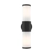 Beaumont Lane Contemporary 2-Light Metal Outdoor Wall Lantern in Textured Black