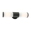 Beaumont Lane Contemporary 2-Light Metal Outdoor Wall Lantern in Textured Black