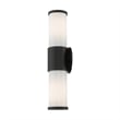 Beaumont Lane Contemporary 2-Light Metal Outdoor Wall Lantern in Textured Black