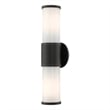 Beaumont Lane Contemporary 2-Light Metal Outdoor Wall Lantern in Textured Black