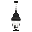 Beaumont Lane Contemporary Brass Outdoor Chain Lantern in Black