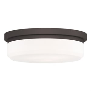 Beaumont Lane Contemporary Steel Ceiling Mount or Wall Mount