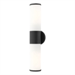 Beaumont Lane Contemporary 2-Light Metal/Glass Vanity ADA Sconce in Black