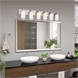 Beaumont Lane Contemporary Steel Bath Light in Brushed Nickel