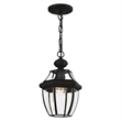 Beaumont Lane Contemporary Brass 1 Light Black Outdoor Lantern